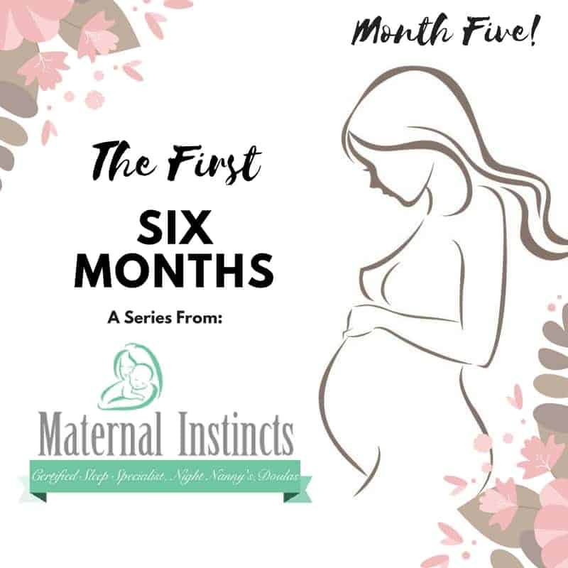 The First Six Months – An Educational Series from Maternal Instincts (What to Expect if Your Baby is Five Months Old)