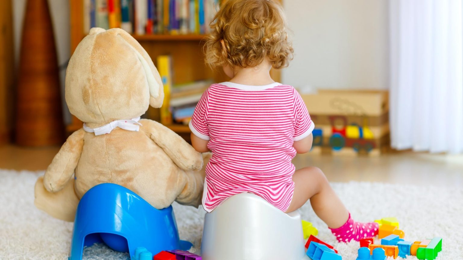 When Should You Begin Potty Training? Maternal Instincts