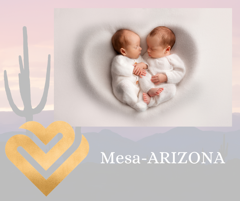 First time parents (Arizona) 5 nights/week